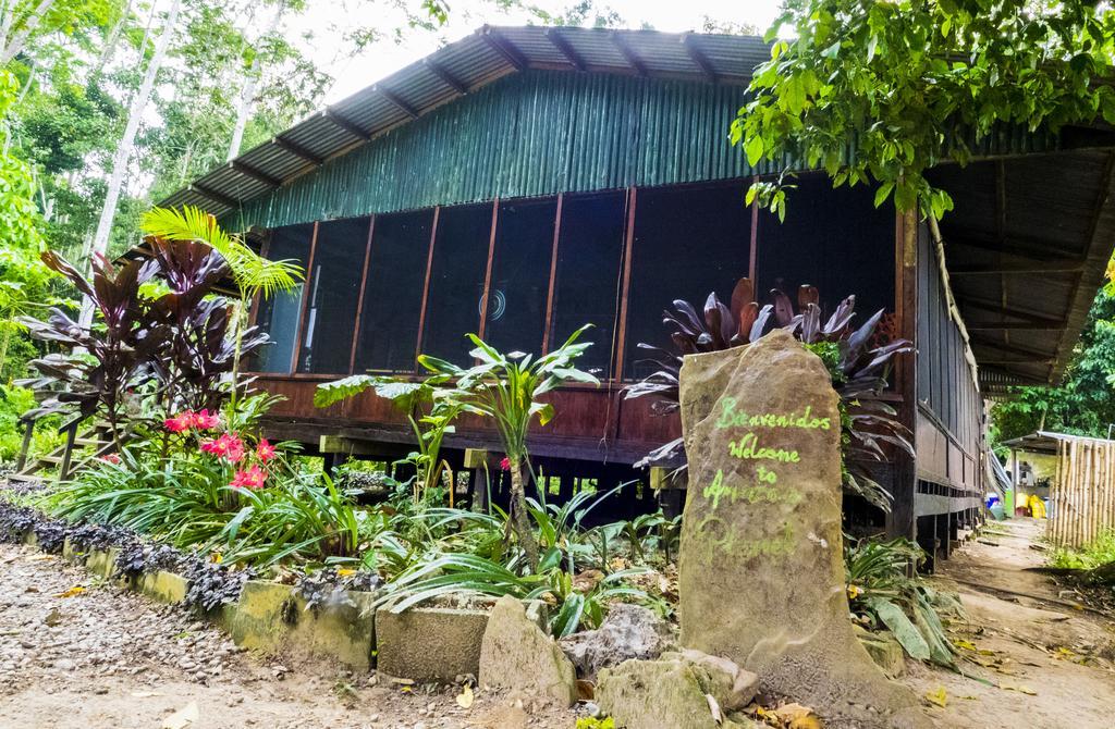 Hotel Amazon Planet Tambopata Exterior foto