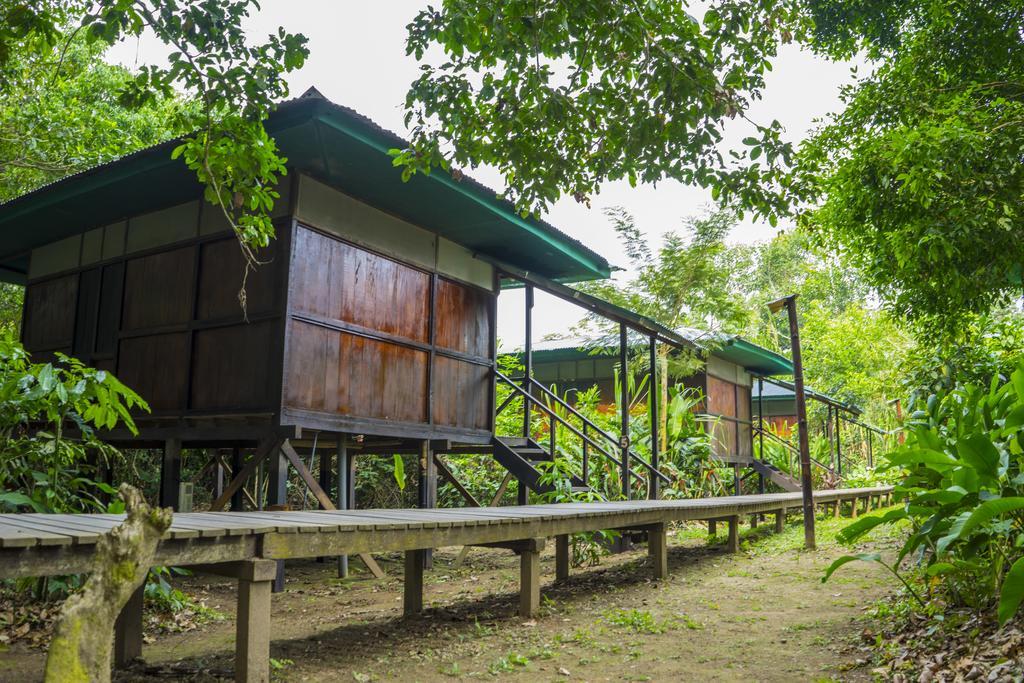 Hotel Amazon Planet Tambopata Exterior foto