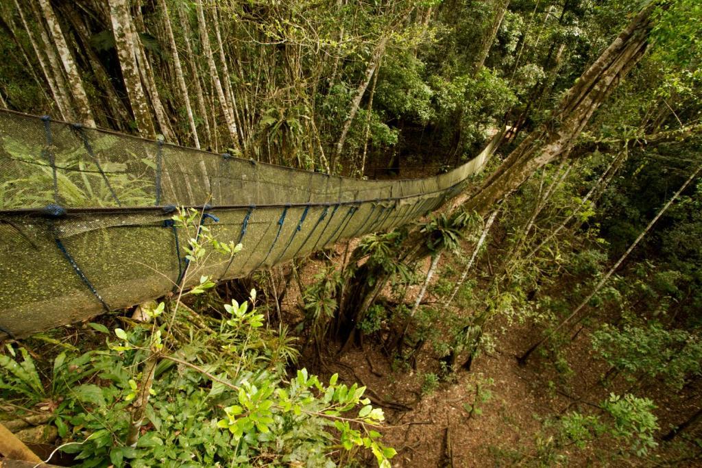 Hotel Amazon Planet Tambopata Exterior foto